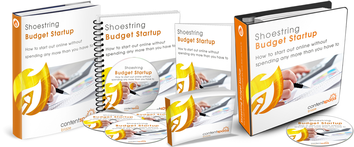 How to Start an Online Business on a Shoestring Budget
